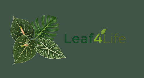 Leaf4Life